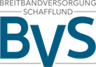 Logo BVS